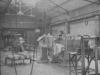 Pogon 1956